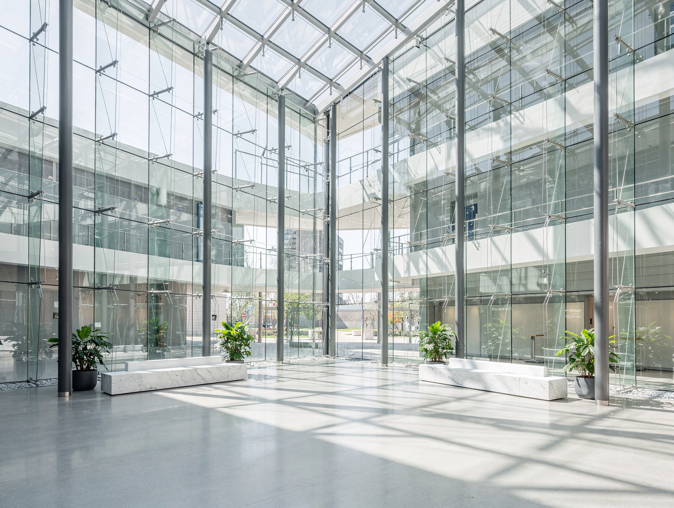 High-contrast architectural shot representing structural clarity